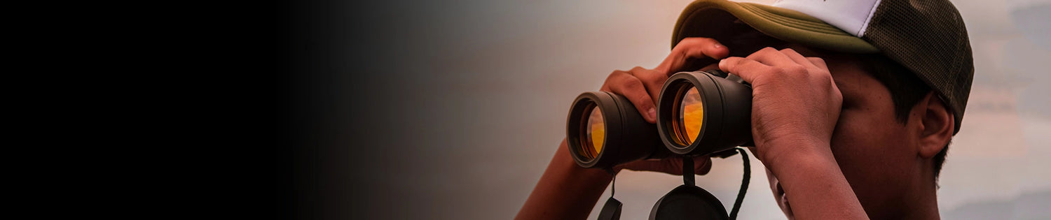 collection-banner-image