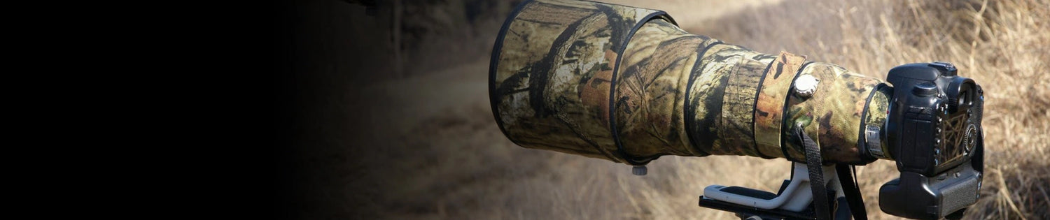 collection-banner-image