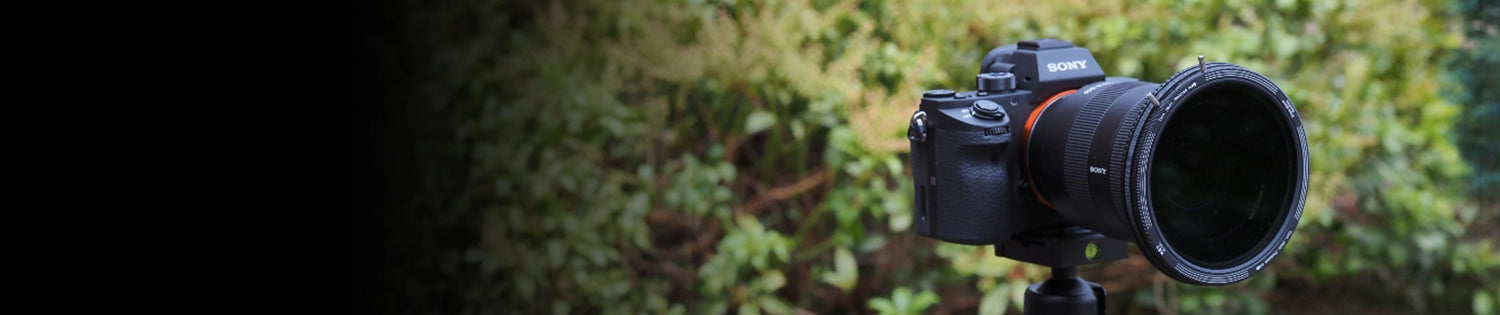 collection-banner-image