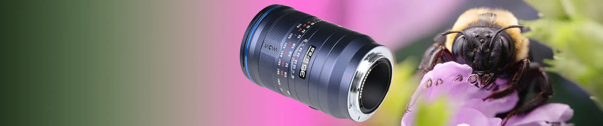 collection-banner-image