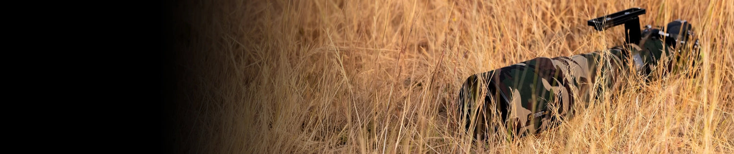 collection-banner-image