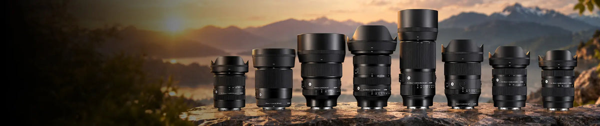 collection-banner-image