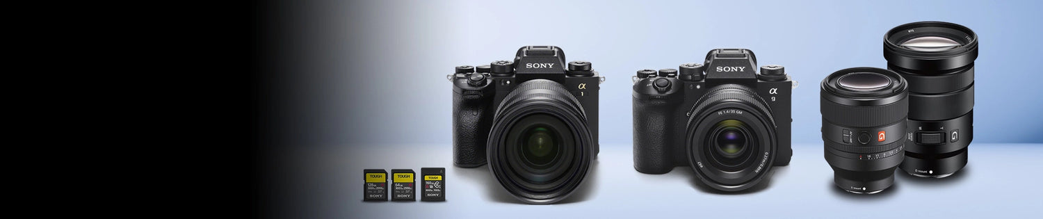 collection-banner-image