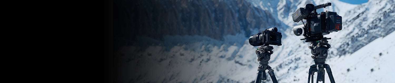 collection-banner-image