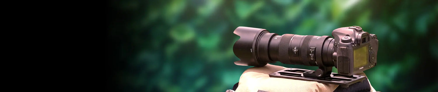 collection-banner-image